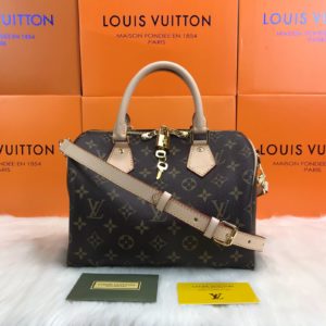 louis vuitton canta Bandoulier Boyut 25