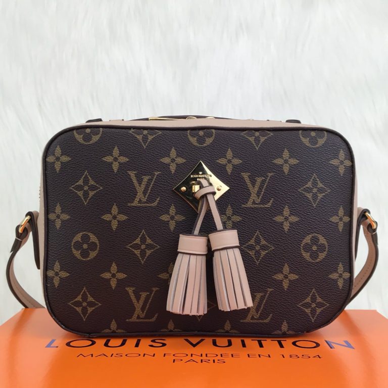 louis vuitton canta Saintonge 22x15