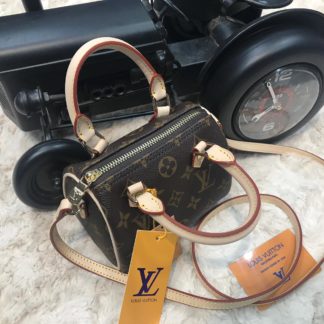 louis vuitton canta nano monogram 14cm