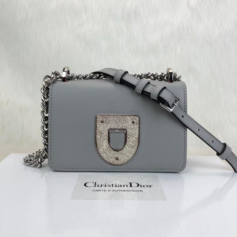 Christian Dior canta Diorama Club gri 18x12