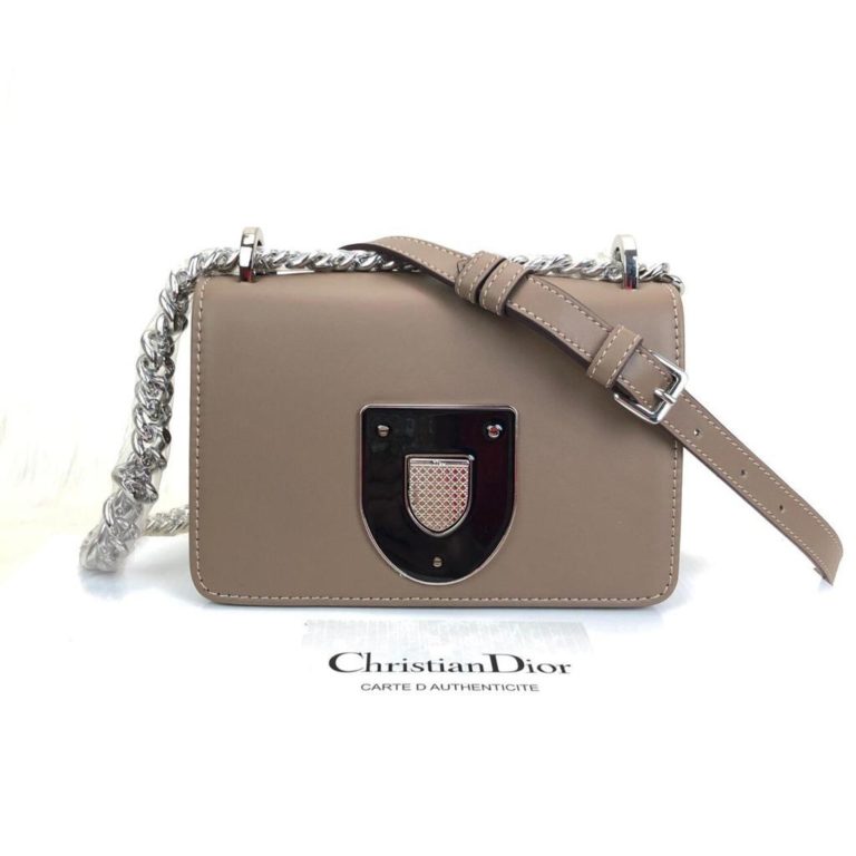 Christian Dior canta Diorama Club vizon 18x12