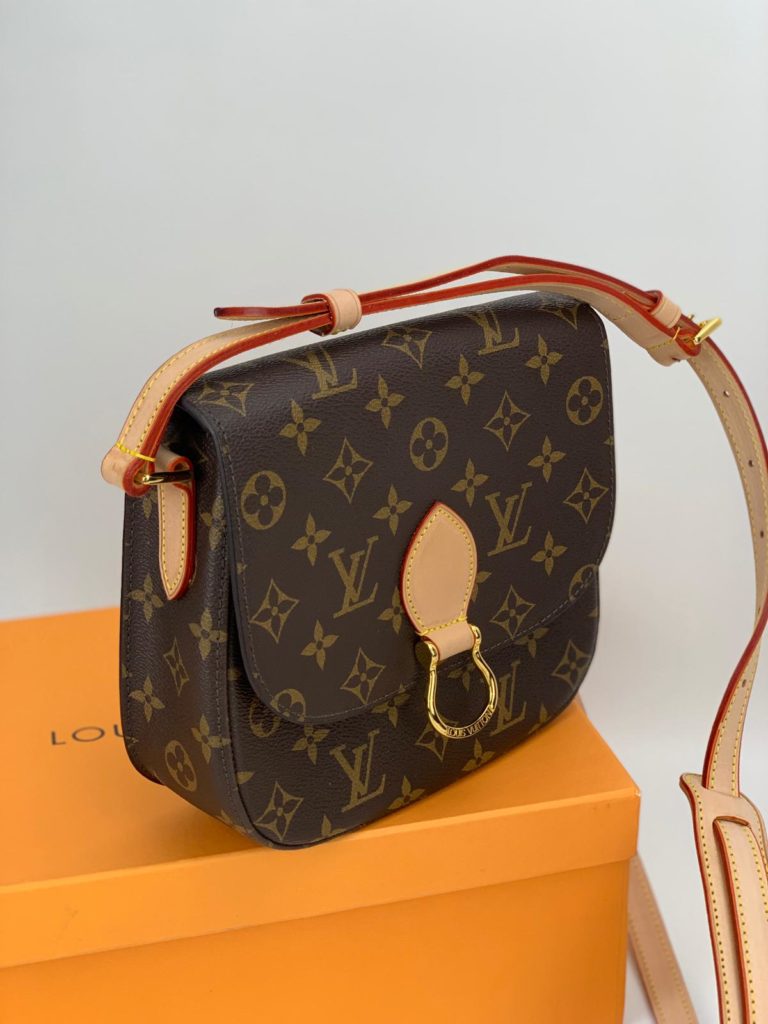 louis vuitton canta saint cloud monogram mini boy 20x20cm