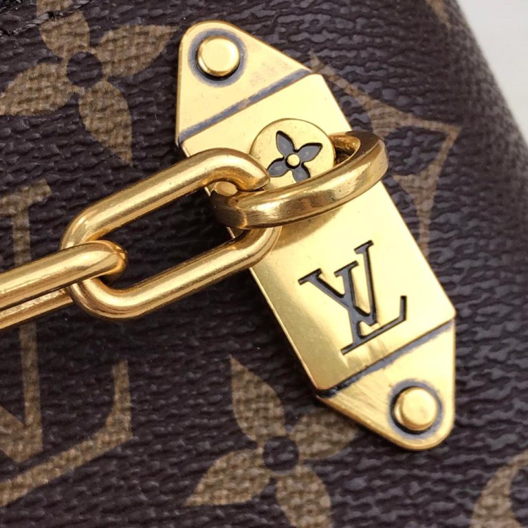 Louis Vuitton canta Nice Vanity Chain 20x13.5x12 cm