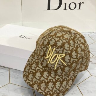 christian dior sapka yesil klasik vip logo