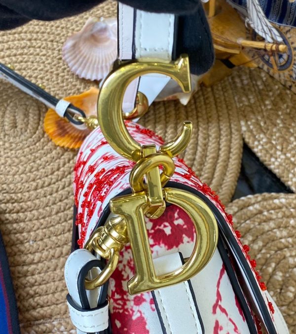christian dior canta saddle rocky 25x20 cm